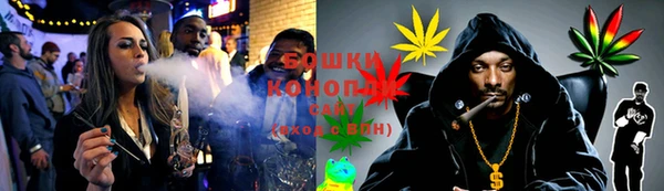 шишки Горнозаводск