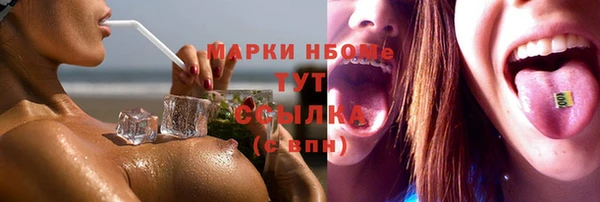 шишки Горнозаводск