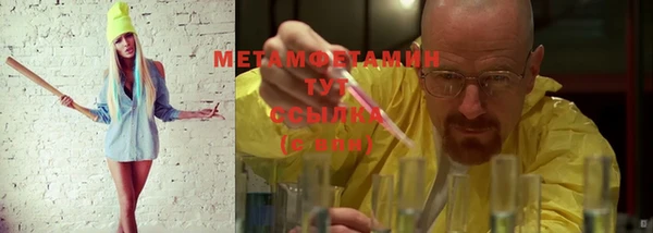 шишки Горнозаводск