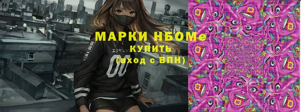 шишки Горнозаводск