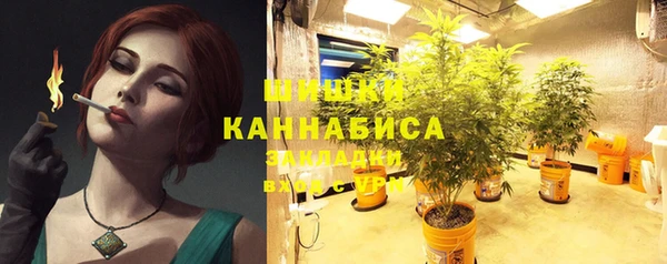 шишки Горнозаводск