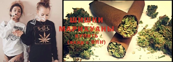 мдпв Горно-Алтайск